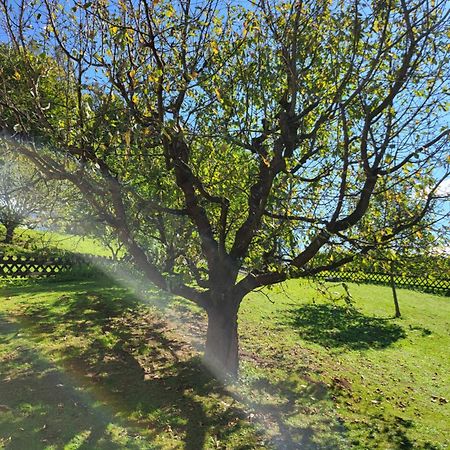 Ferienhaus Zangl Am Seggauberg - Suedsteiermark Leibnitz Buitenkant foto