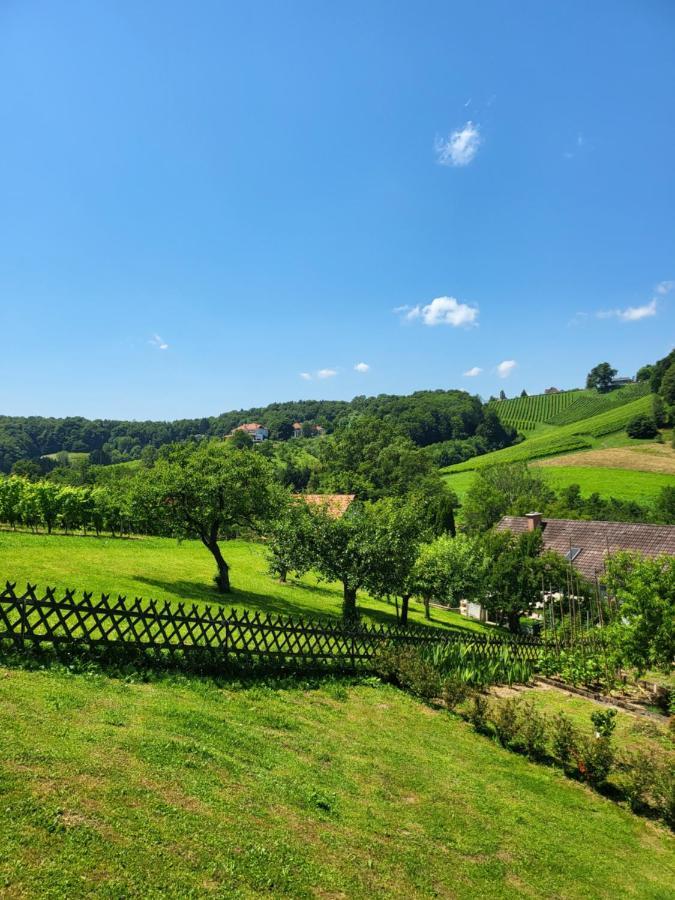 Ferienhaus Zangl Am Seggauberg - Suedsteiermark Leibnitz Buitenkant foto