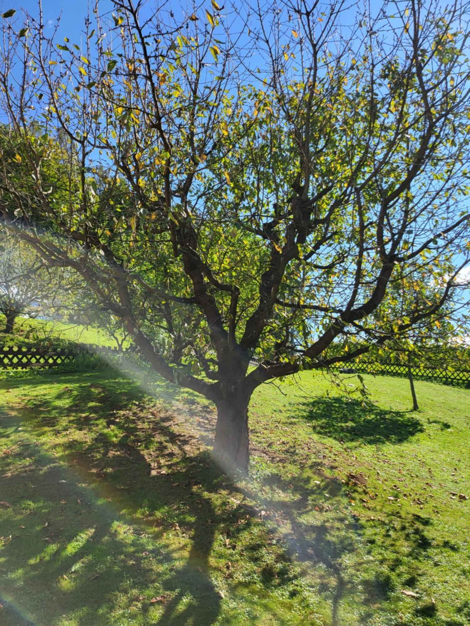Ferienhaus Zangl Am Seggauberg - Suedsteiermark Leibnitz Buitenkant foto