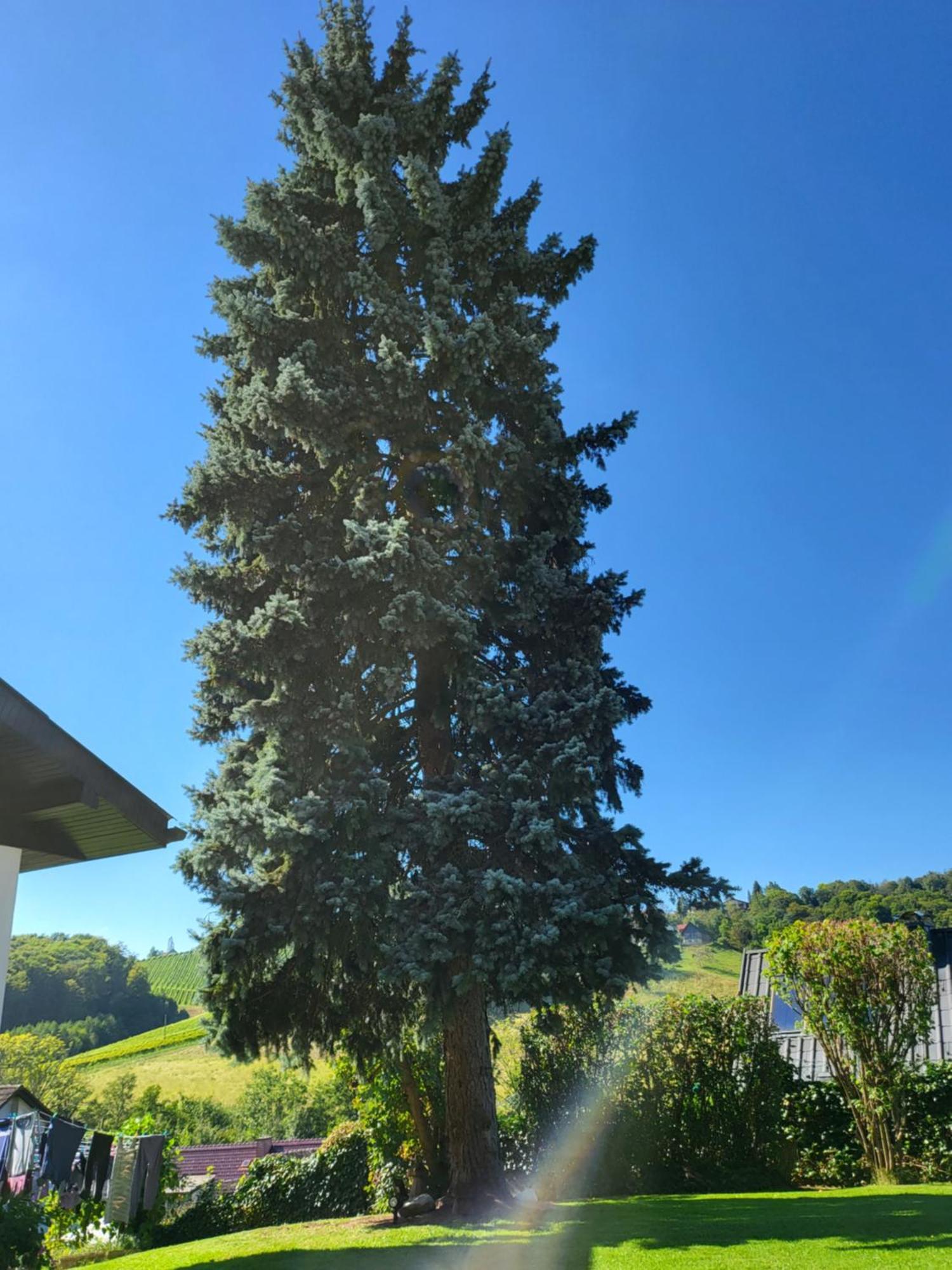 Ferienhaus Zangl Am Seggauberg - Suedsteiermark Leibnitz Buitenkant foto