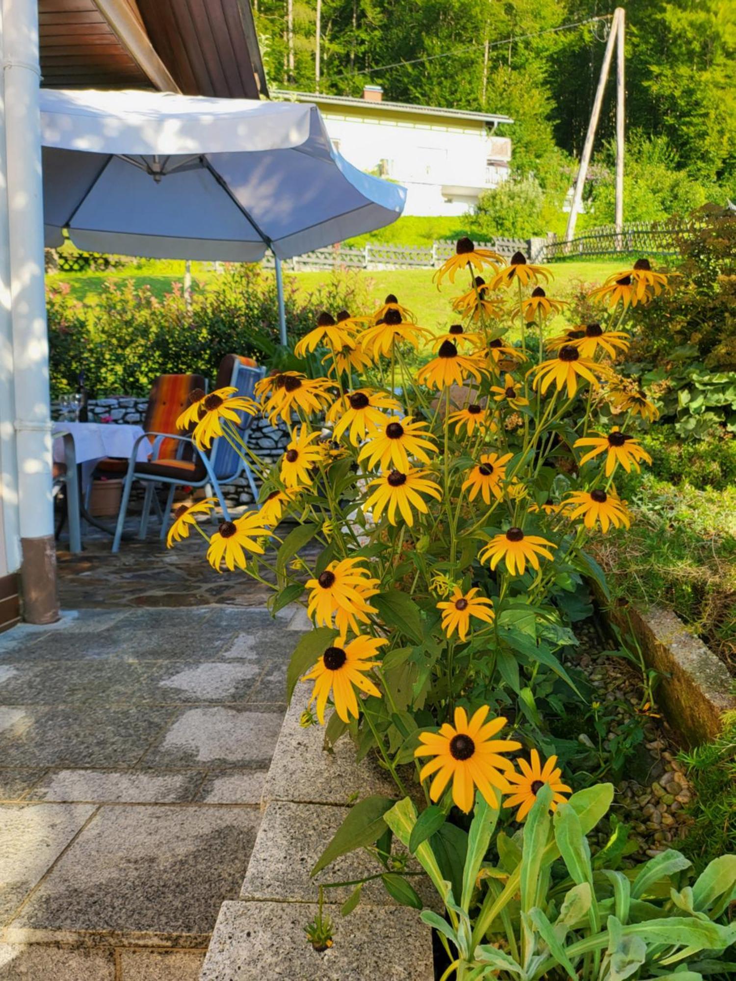 Ferienhaus Zangl Am Seggauberg - Suedsteiermark Leibnitz Buitenkant foto